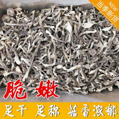 干度好特色鹿茸菇 10斤净重食用菌干货鹿茸菇鹿茸菌 货量大批发