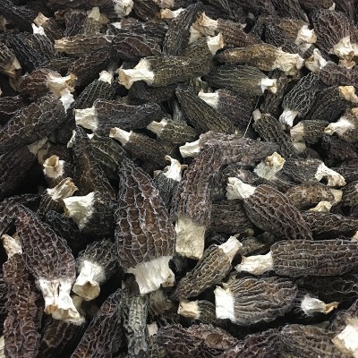 羊肚菌干货500g 5公分以上营养高大量批发厂地直发
