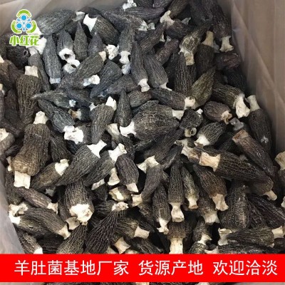 羊肚菌干货500g 5公分以上营养高大量批发厂地直发图2