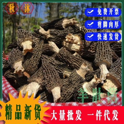 秋沐羊肚菌今年新货干货菌菇特产农产品煲汤散装批发一件代发