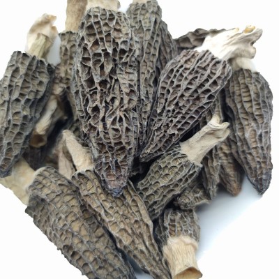 秋沐羊肚菌今年新货干货菌菇特产农产品煲汤散装批发一件代发图5