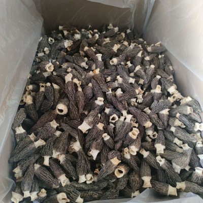 秋沐羊肚菌今年新货干货菌菇特产农产品煲汤散装批发一件代发图3
