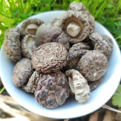【产地直供】古田农家剪脚花菇 干货冬香菇饱满肉厚香 食用菌批发图3