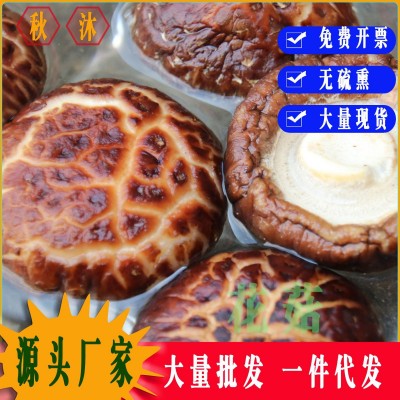 【产地直供】古田农家剪脚花菇 干货冬香菇饱满肉厚香 食用菌批发