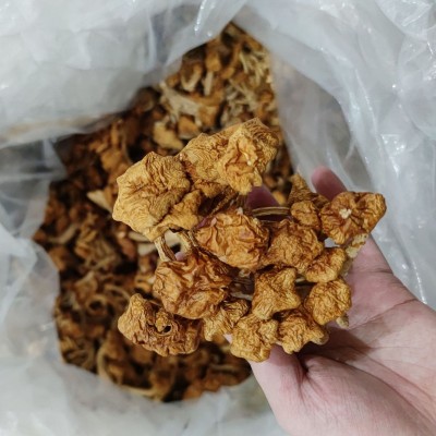 秋沐古田滑子菇干货滑子蘑菌菇滑菇古田食用菌农产品批发一件代发