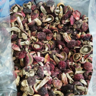 红菇新货干货小红菇标菇小红菌红蘑菇蘑菇正红菇散装批发一件代发图3