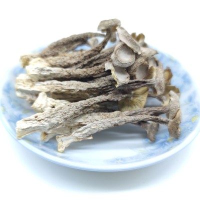 【基地直供】鹿茸菇鹿茸菌脆脆菇散装批发 食用菌酒店食材图4