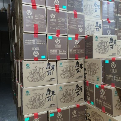【基地直供】鹿茸菇鹿茸菌脆脆菇散装批发 食用菌酒店食材图3