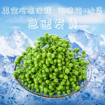 厂家直供碧元珠保鲜花椒350g重庆特产九叶青新鲜藤椒麻椒 鲜花椒图3