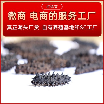 大连特产干制辽刺参大连淡干海参干货50g水产干货批发大连海参图7