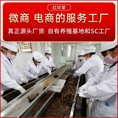淡干海参批发非海参礼盒水产干货特产海参干货图4