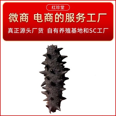 大连特产底播淡干海参干货大连海参批发5g海产干货海参图3