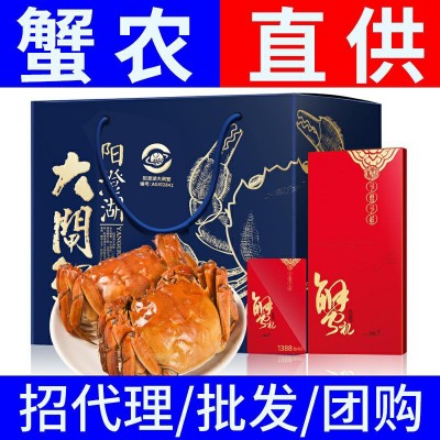 正宗阳澄湖镇大闸蟹礼券螃蟹提货礼卡福利采购代理团购图2