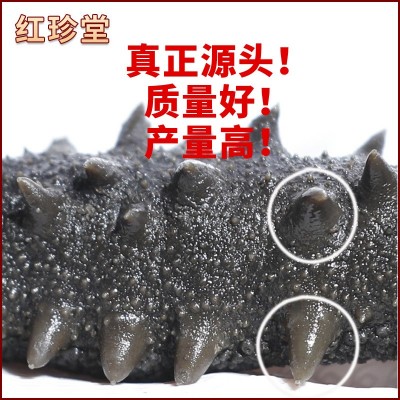 批发可代发大连特产辽刺参海产品拉缸盐海参500g半干盐渍大连海参图2