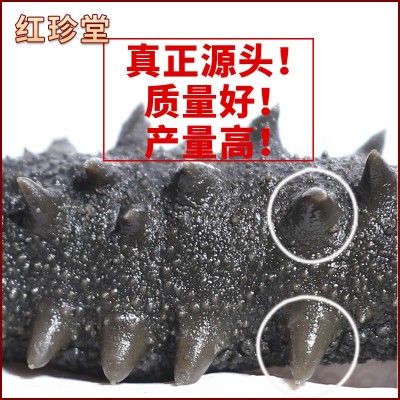 水产盐渍海参批发半干中大火拉缸盐大连海参500g大连特产海参图3