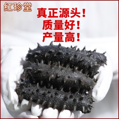 水产盐渍海参批发半干中大火拉缸盐大连海参500g大连特产海参图2