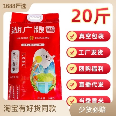 广西猫牙米大米10kg长粒香大米超长丝苗米2022年新米香米