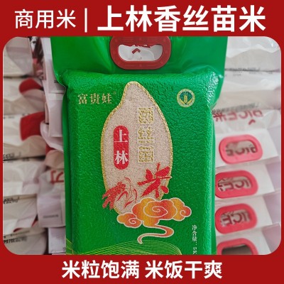 开店饭堂食堂酒店外卖商用米煲仔饭米南方广西上林香丝苗大米5kg图2