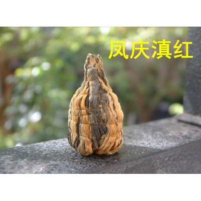云南凤庆滇红茶宝塔茶500g手工金丝玲珑小宝塔形金芽功夫图2