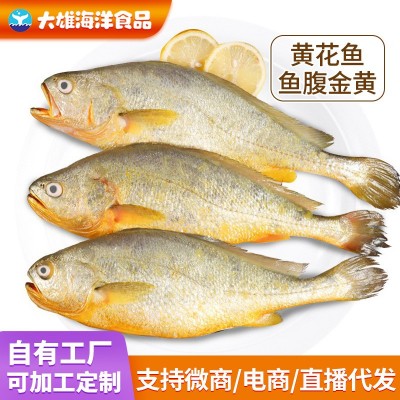 新鲜大黄鱼真空装黄鱼冻货一斤一条冰鲜海鲜水产黄鱼批发商用