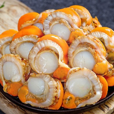 新鲜扇贝肉新鲜冷冻商用批发超大无冰烧烤蒜蓉即食鲜贝肉商用图2