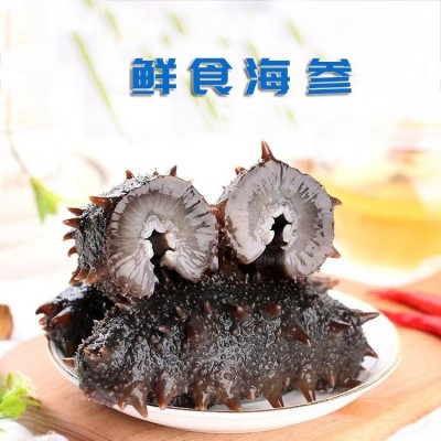 刺参即食海参批发礼盒 非干参500g 水产散装鲜食参
