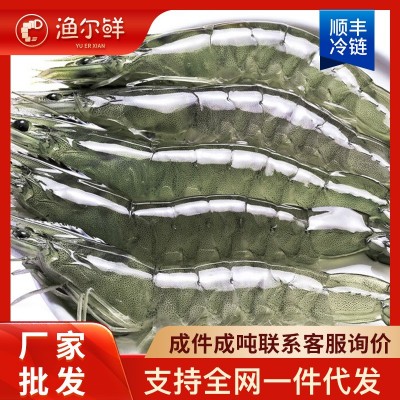 大虾国产对虾基围虾明虾冰冻青虾鲜活白虾海虾冷链运输图2