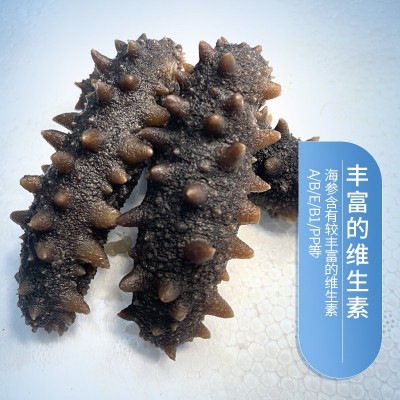 海参工厂源头批发大连即食海参礼盒500克装鲜食海参辽刺参非干货图2