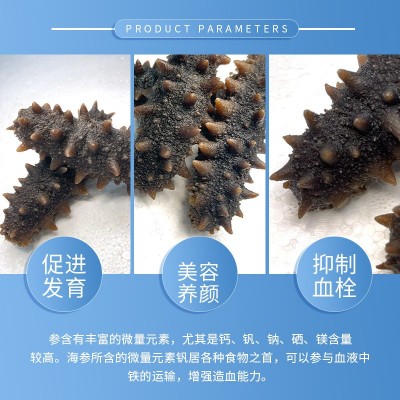 海参工厂源头批发大连即食海参礼盒500克装鲜食海参辽刺参非干货图3
