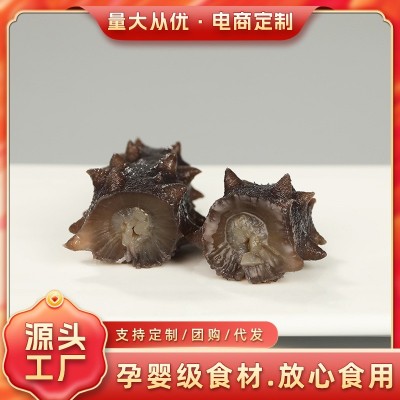 水产海鲜刺参 辽参礼盒美味包装食用500g海参滋补品批发图1