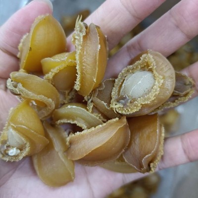 大连鲍鱼干1斤海味大鲍鱼70-80头淡晒足干鲍鱼干佛跳墙滋补干货图2