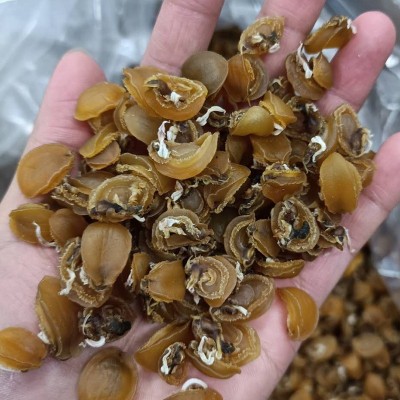 大连鲍鱼干1斤海味大鲍鱼70-80头淡晒足干鲍鱼干佛跳墙滋补干货图5