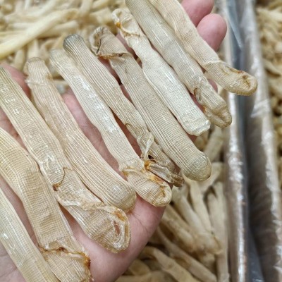 厂家直销 一德路海味大号沙虫干500g去沙袋新鲜海味沙虫干货现货图3