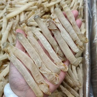 厂家直销 一德路海味大号沙虫干500g去沙袋新鲜海味沙虫干货现货图5