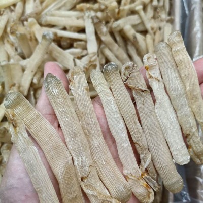 厂家直销 一德路海味大号沙虫干500g去沙袋新鲜海味沙虫干货现货图4