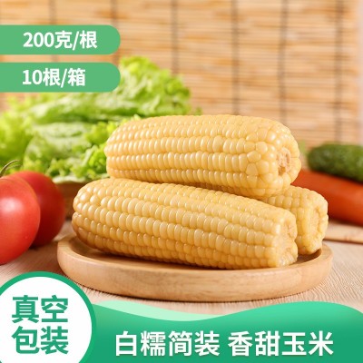 玉米批发东北粘苞米粗粮代餐真空独立包装甜糯白玉米量大从优