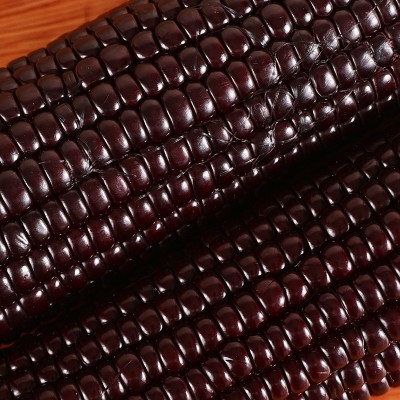 蛟甜东北黑糯玉米吉林黑玉米10根单根包装黑苞米棒五谷杂粮批发图4
