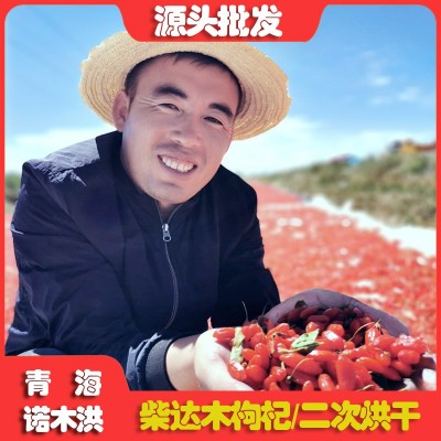 诺木洪枸杞子非宁夏枸杞大果青海柴达木红枸杞500g散装产地批发图2