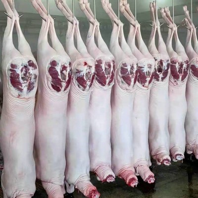 厂家带皮羊酮体整只新鲜羔羊肉白条羊多分体分割商用食材整羊批图4