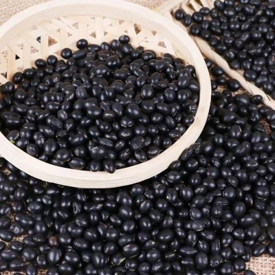 厂家批黑豆 豆浆原料熟黄芯黑豆 低温烘焙熟五谷杂粮磨粉原料图3