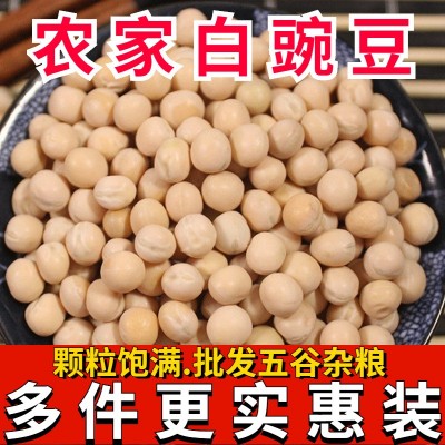 白豌豆批发 农家自种豌豆 新生豌豆干豌豆 可发苗芽煮粥图1