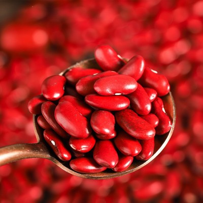 厂家直批英国红芸豆红腰豆芸豆红腰豆熬粥馅料煮粥食材粗杂粮花豆图5