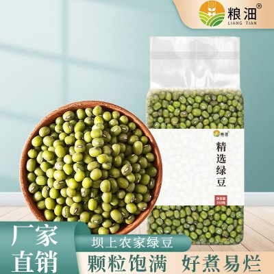 张家口鹦哥绿豆真空包装350g绿豆原豆厂家直批绿豆原料 杂粮批发