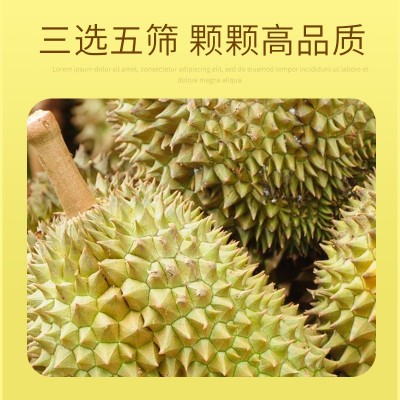 越南正宗金枕榴莲A果水果3-6斤果鲜果顺丰产地直发可一件批发图4