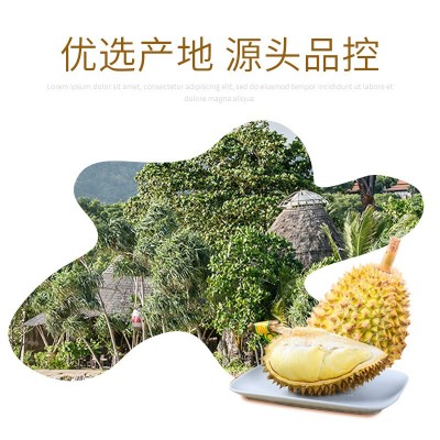 越南正宗金枕榴莲A果水果3-6斤果鲜果顺丰产地直发可一件批发图3