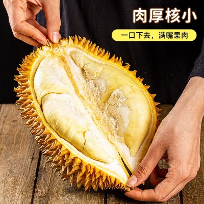 越南金枕榴莲进口水果袋装果肉真空包装顺丰原厂直发批发500g/袋图4