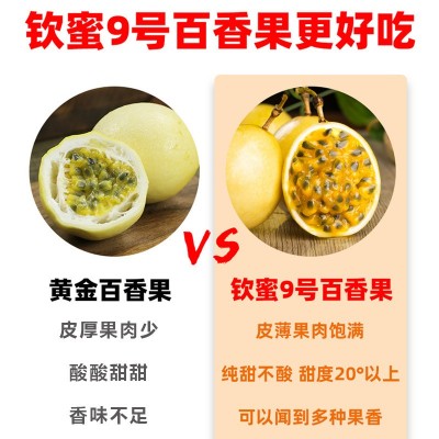广西钦蜜9号黄金百香果大果新鲜现摘当季孕妇水果顺丰包邮礼盒批图3