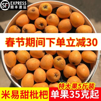 攀枝花米易枇杷新鲜大果5斤礼盒四川早钟甜琵琶水果现摘整箱批发图2
