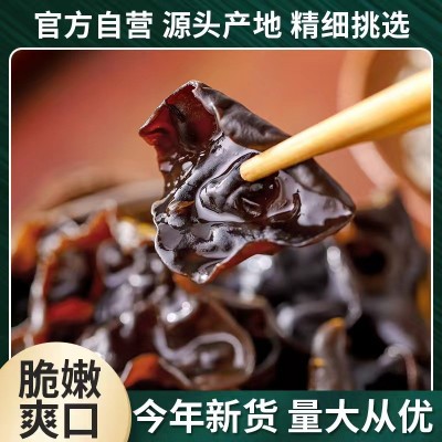 厂家批发 东北小兴安岭黑木耳 源头货源批发 大量从优图2