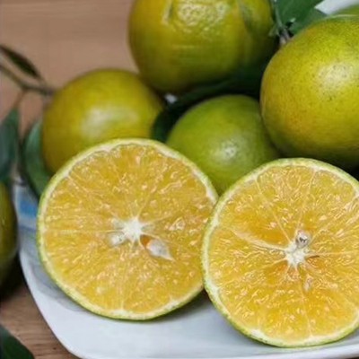 广西新鲜武鸣皇帝柑水果种植基地新鲜采摘皮薄清甜可一件代发图2